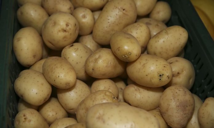 Batatas